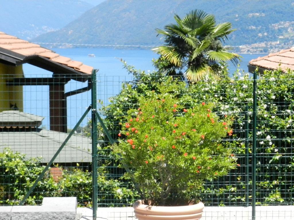 Casa Elena 1 Apartman Germignaga Kültér fotó
